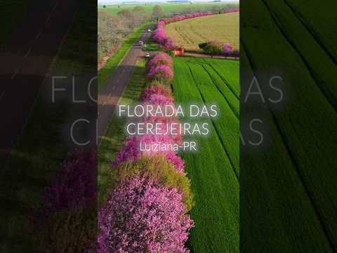 26 de julho de 2026