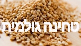 טחינה גולמית ביתית מאלף עד תיו עם מקס מלכיאל Homemade Tahini