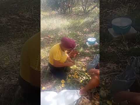 riacho dos machados #djibrasil #nordeste