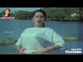 Geetha Hot Scene Collections