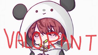 【VALORANT】教えてください(超初心者)【ヴァロラント】