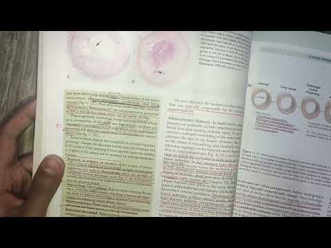 past UQs of vascular pathology