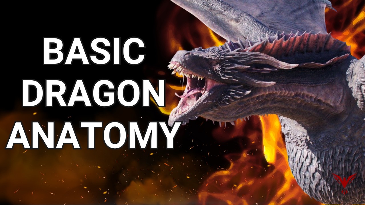 Writing Dragons In Fantasy Part 1: Basic Western Dragon Anatomy