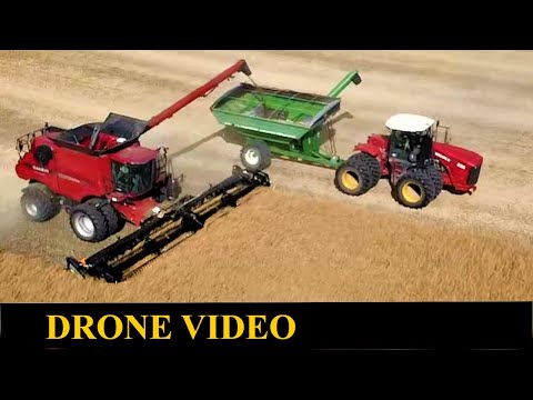 Straight Cut Canola Harvest with CASE IH 9230  2020 drone video