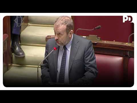 Stefano Ceccanti sulla democraticità dello Statuto del Gruppo 5 Stelle alla Camera