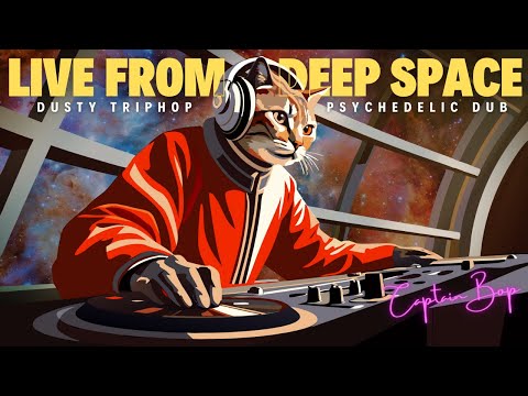 What Your Cat Does After Dark🌙 [PSYCHEDELIC/DUB/ACID FUNK]