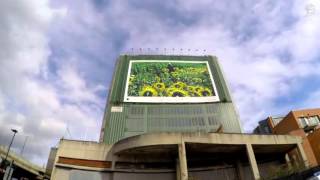 Apple iPhone6: World Gallery