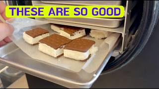 Can You Freeze Dry Ice Cream Sandwiches