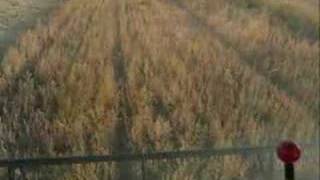 preview picture of video 'Harvest 2007'