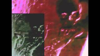 Skinny Puppy -- The Centre Bullet (Backmasked) (Lyrics)