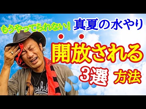 鉢内の湿度を保つにはどうすればいいですか？植物を熱波から守るための 5 つ以上のソリューション!  庭園