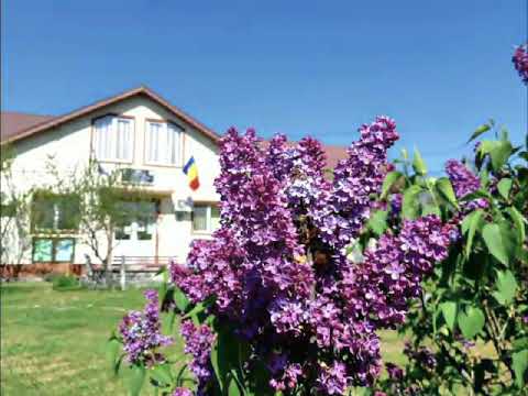 Cernătești Buzău România