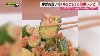 【献立予報】旬＆お得な食材を簡単レシピとともに紹介するコーナー！夕飯献立の参考に…今回おすすめは｢キュウリ｣(静岡)