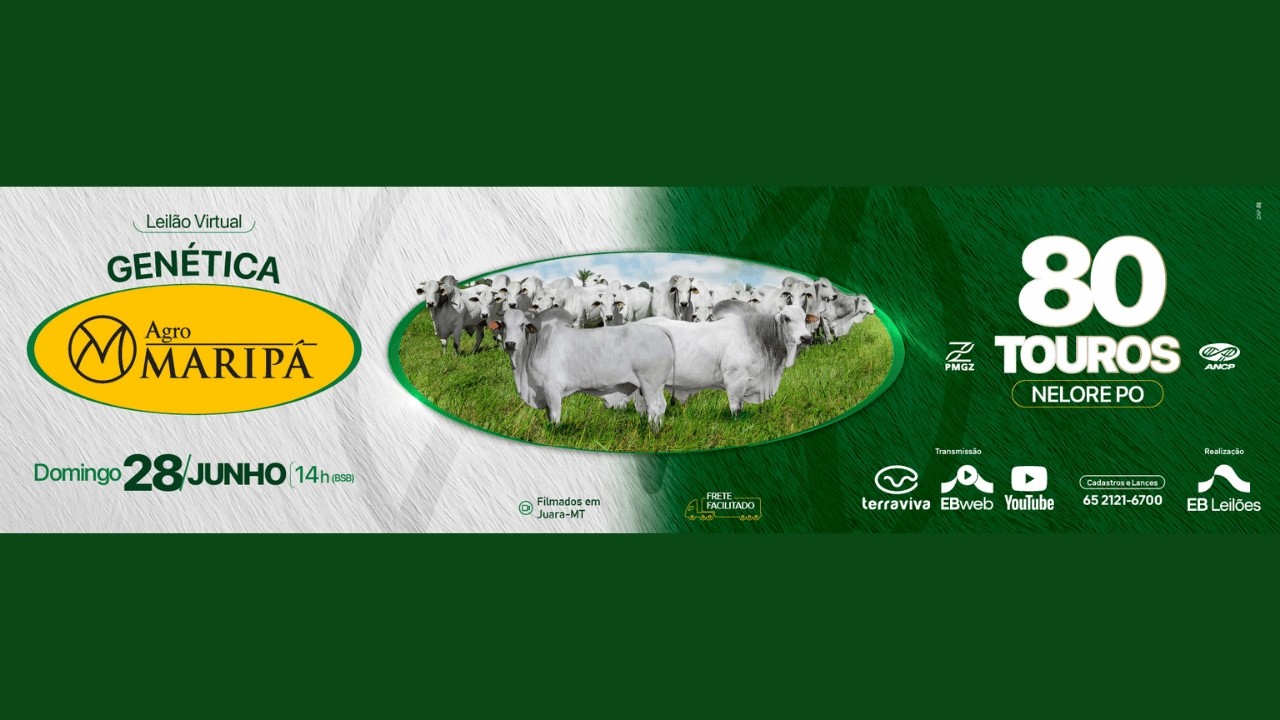 LEILÃO VIRTUAL GENÉTICA AGROMARIPÁ | 28/06/2026 – 14H
