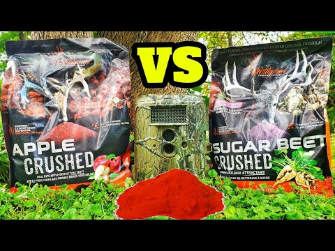 Sugar Beet VS Apple Crushed! - DEER TEST