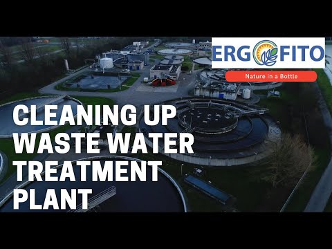 Eco-Flush- Sewage Bioremediation Agent