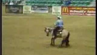 Morey Fisk // Bethany Dillon - Hero