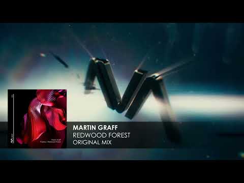 Martin Graff - Redwood Forest