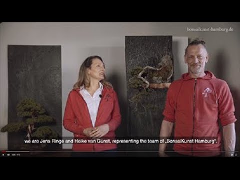 Bonsaikunst Hamburg 2020 findet als Video-Ausstellung statt!