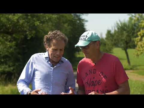 beeMOOC Der Bien (Superorganismus der Natur)