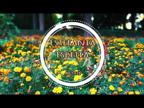 Au pair Application video