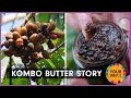 The Kombo Butter Story