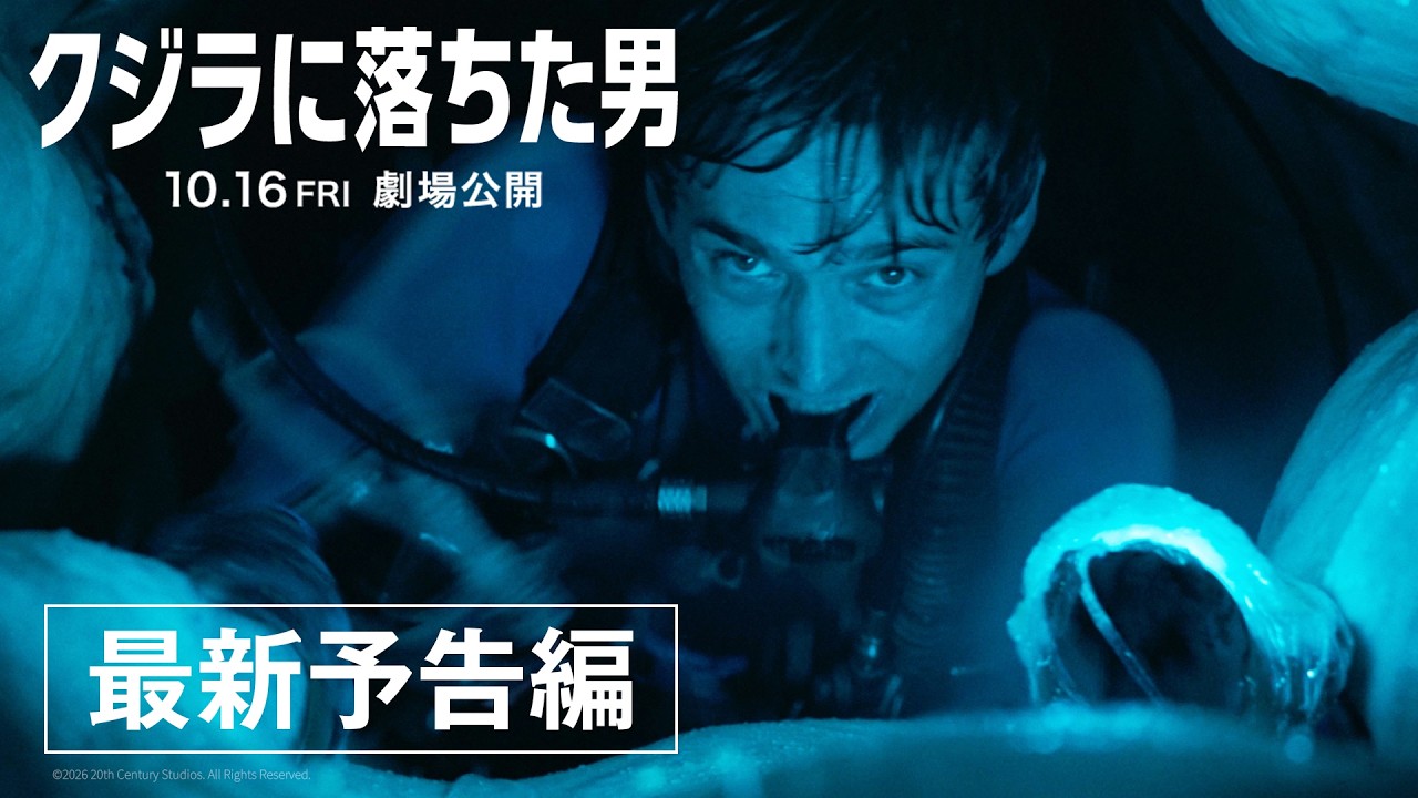 最新予告編