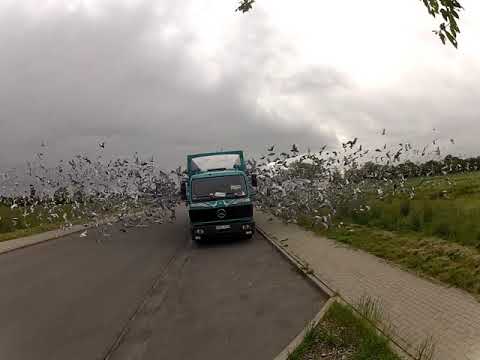 Kaltenkirchen 1 25 05 2019 START