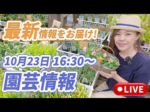 イラクサ、庭や昆虫に役立ちます