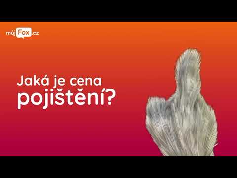 Náhled pro video reference