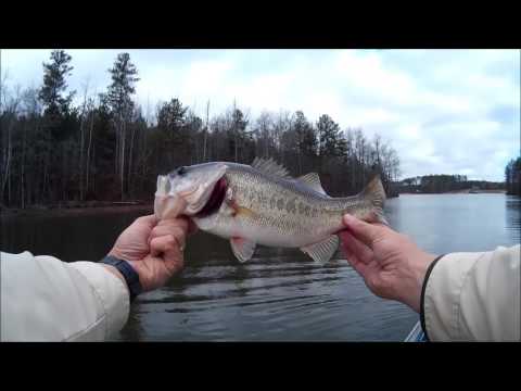 Warm Winter South Atlanta Bass Fishing - Peachtree CIty 12.27.2016