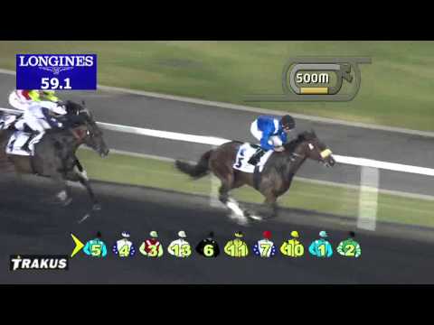 13.03.2014 Meydan (Dubai-UAE) 3.Race Nova Stakes - Handicap 1.400 m