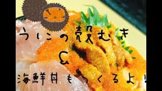 うにの殻むきのやり方＆海鮮丼作る