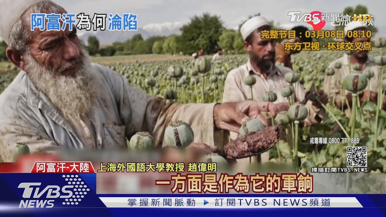 政府軍如扶不起的阿斗! 「鴉片」成塔利班秘密武器