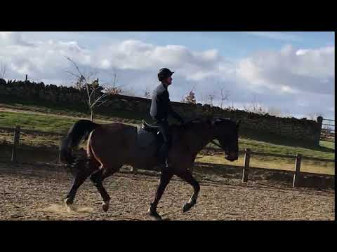 trim A078AA18 4533 4121 BBD5 52909B071F66