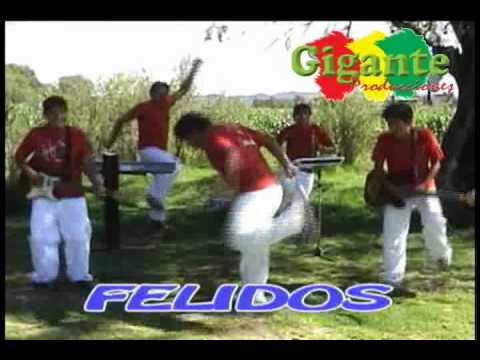 LOS FELIDOS - CHOLERA IMILLA