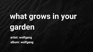 WHAT GROWS IN YOUR GARDEN || WOLFGANG (Karaoke)