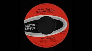 The Shirelles  -   Wait till I give the signal