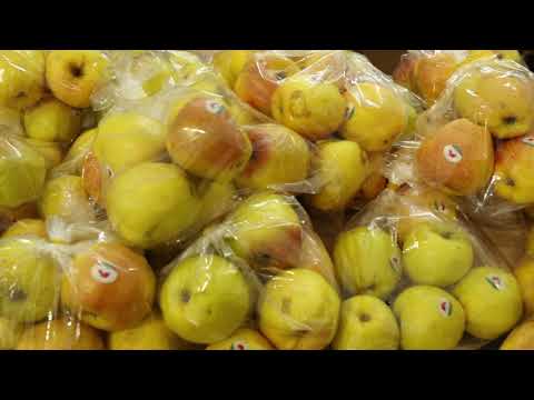 HIMALI Project Entrepreneuship & Commercialization (Nepali Version)