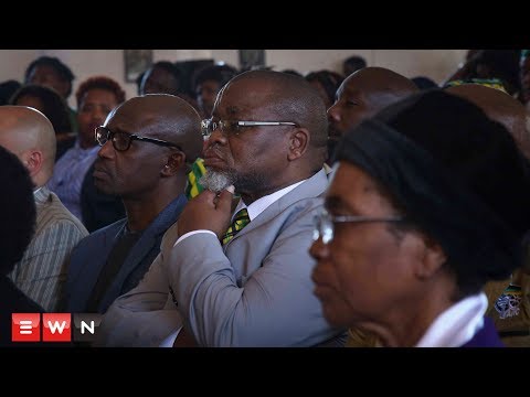 If she goes to court it will not be Makhosi Khoza vs the PEC. It will be Makhosi Khoza vs the ANC