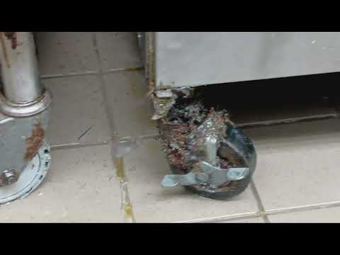 Grease Buildup & Other Issues Causes Cockroach Infestation in South Bound Brook, NJ