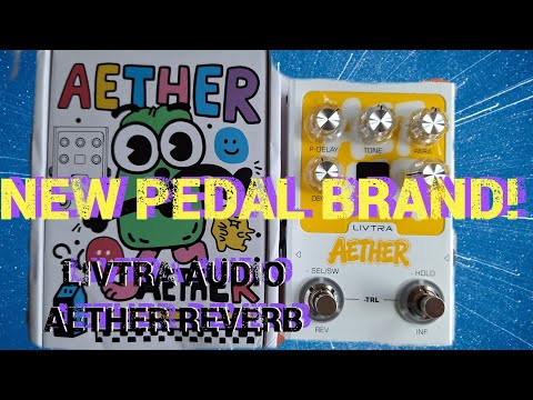 All new budget Livtra Audio Stereo Reverb Pedal. First impressions demo