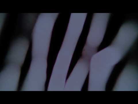 CTAFAD - Observatory (Music Video)