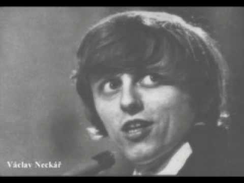 Václav Neckář - Kdybych měl salaš