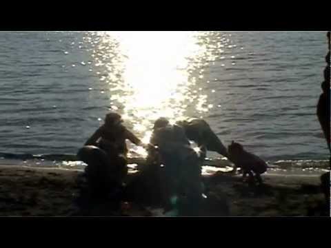 Eurocamp.de - Lido Camping Village - Lago di Bolsena, Toskana, Italien - Familienurlaub