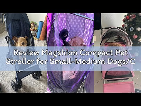 Magshion