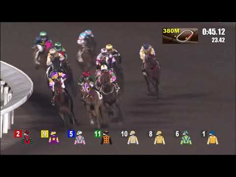 31/3/2021 (552) Magic Supreme - A Badel