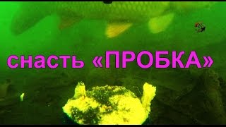 Рыбалка ловля на пробку под водой