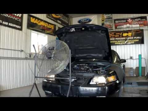 2004 Mustang GT With Trickflow Top End Kit