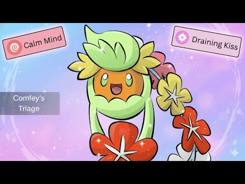 DO NOT Sleep on Comfey